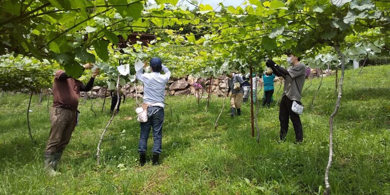認定NPO法人キャリア・デザイナーズ