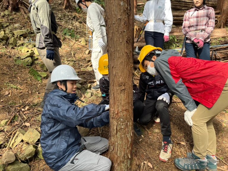 緑のダム北相模